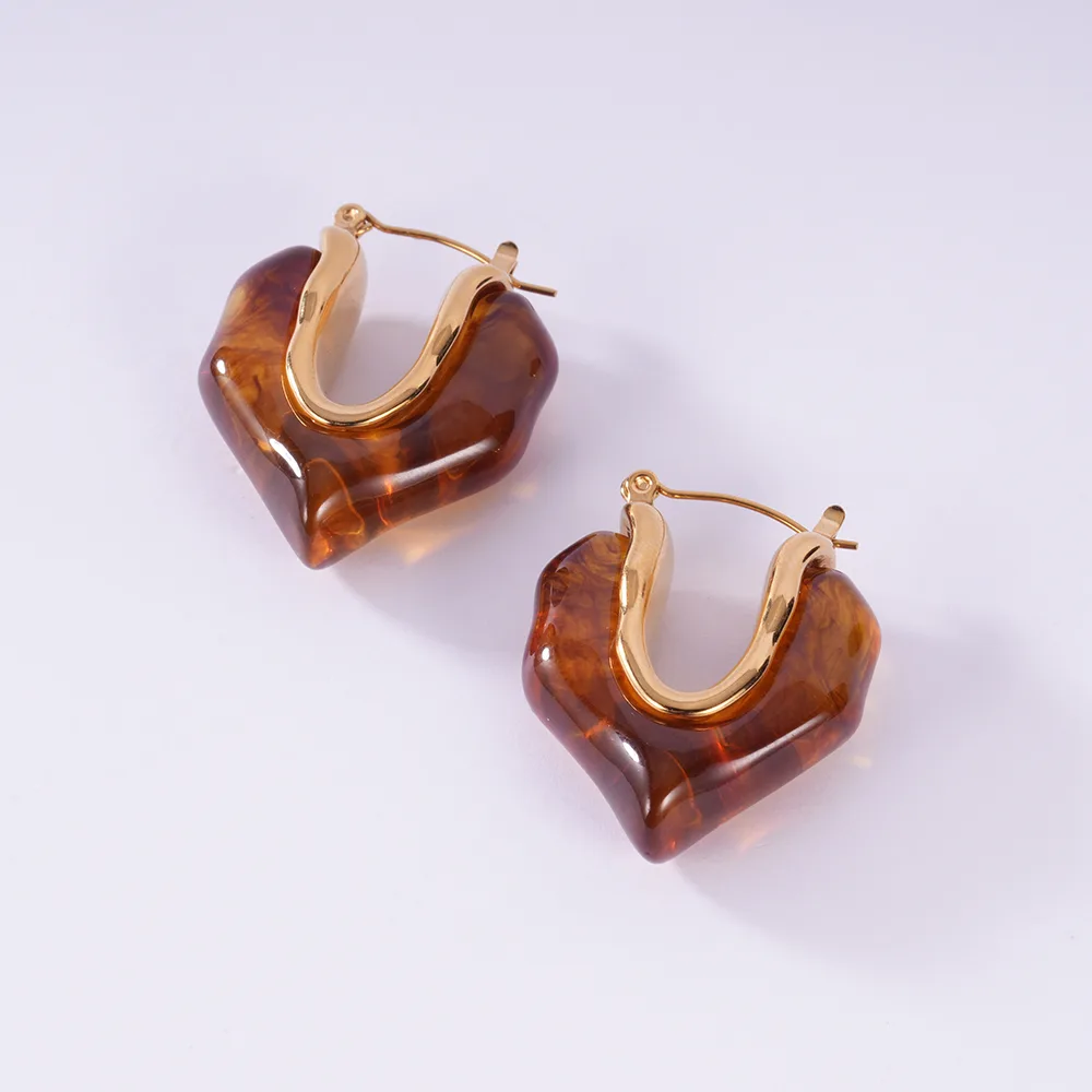 A001 Stainless Steel Resin Earrings - Image 1