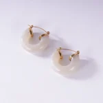 Stainless Steel Resin Earrings